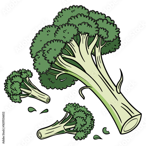 Green broccoli florets and stalks vegetable food