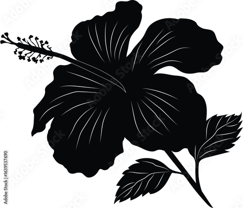 Detailed black silhouette of a blooming hibiscus flower with leaves and stem on a white background