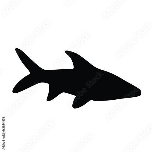 Sleek Shark – Streamlined Ocean Predator Photography