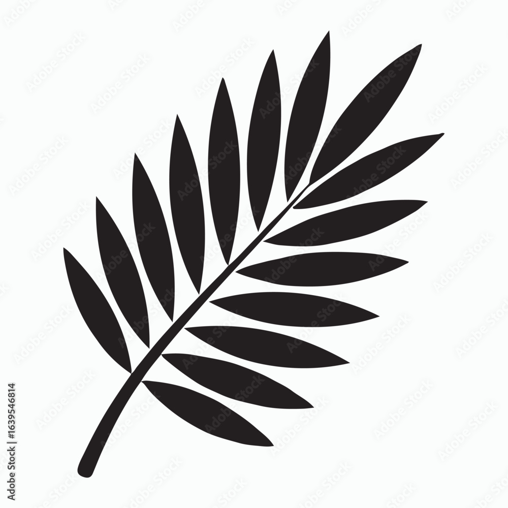 Fototapeta premium Elegant Palm Leaf Silhouette Against a White Background 