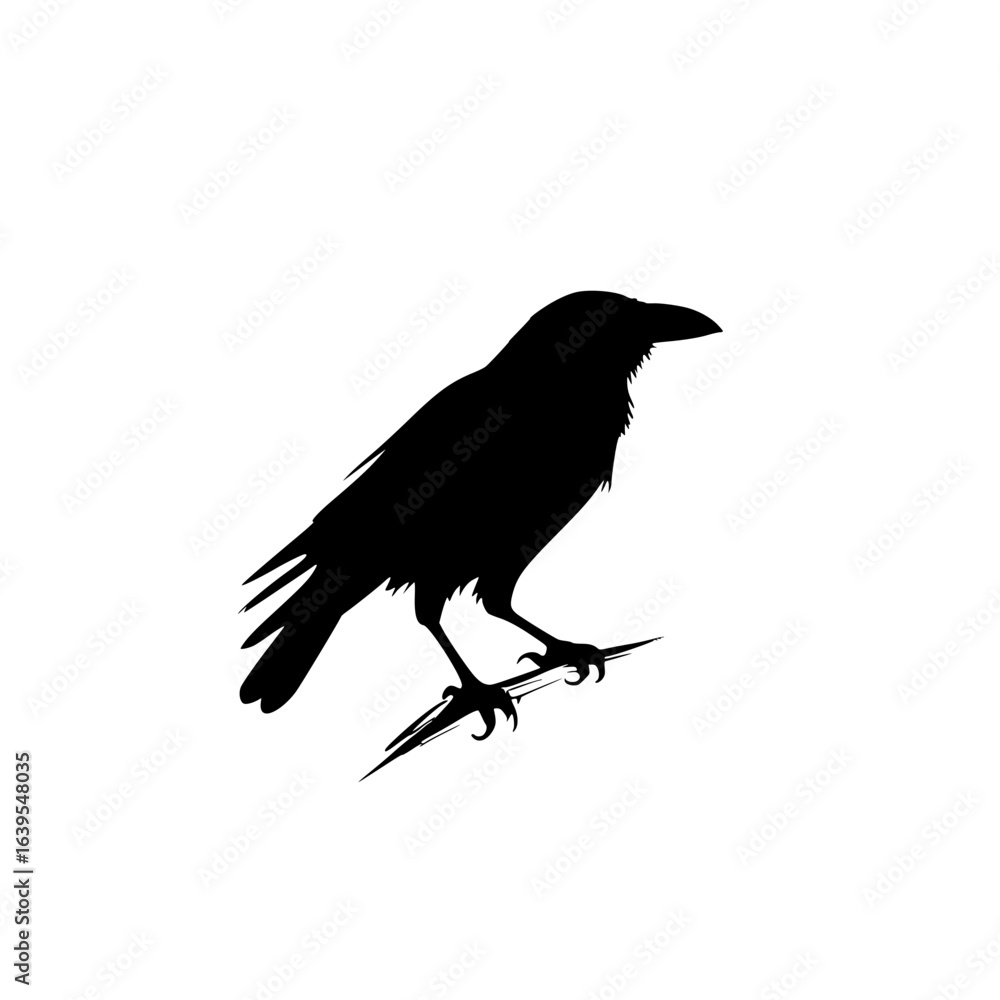 Fototapeta premium crow on a white background