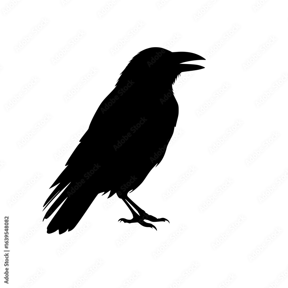 Obraz premium crow on a white background