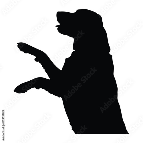 Black silhouette of a dog begging white