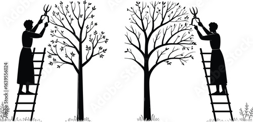 Silhouette woman pruning tree, gardening on ladder, black and white illustration, seasonal tree trimming, nature care, spring garden work design