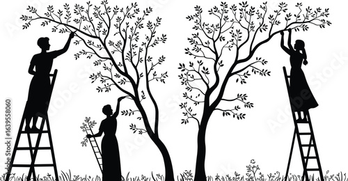 Women pruning trees silhouette, black and white garden scene, tree care illustration, seasonal outdoor work, nature maintenance, spring gardening art