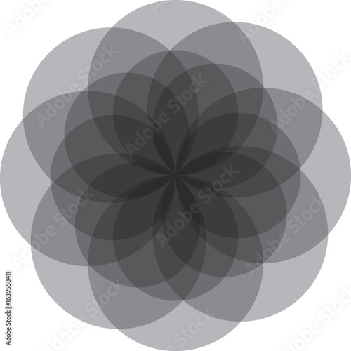 black and white round circle