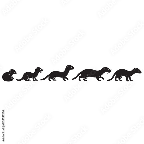 Vector silhouette of ferret