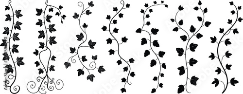 Vine silhouette set, decorative plant vector, leafy curl design, botanical ornament clipart, nature foliage illustration, vertical vine graphics
