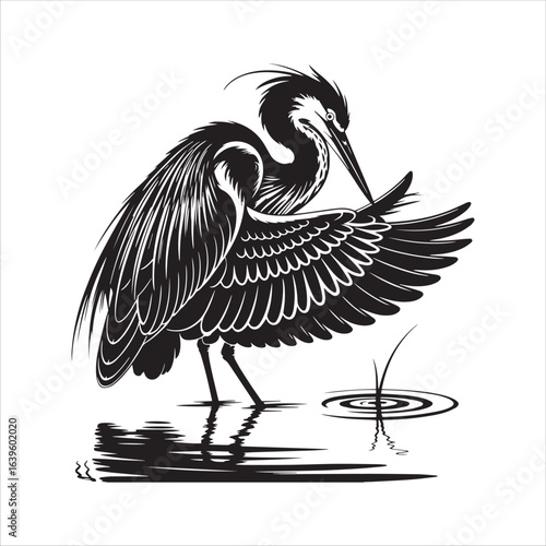 Black silhouette of a heron standing in water with its wings spread on a white background bird reflection