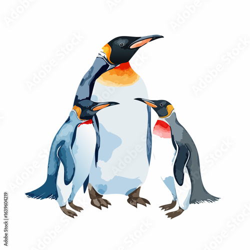 Beautiful watercolor illustration penguins, arctic tern. Hand drawn image of antarctic birds.