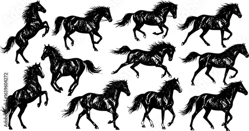 Set of Horse Silhouettes, vector 
