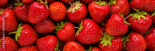 Red bright strawberries background. Fresh berries. Wide banner. Closeup. Top down view.
