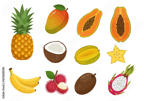 Vector art of tropical fruits pineapple mango papaya coconut starfruit dragon fruit bananas rambutan sapodilla