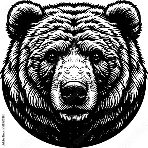 Majestic Grizzly Bear Portrait: A striking black and white illustration captures the intense gaze and rugged features of a powerful grizzly bear.