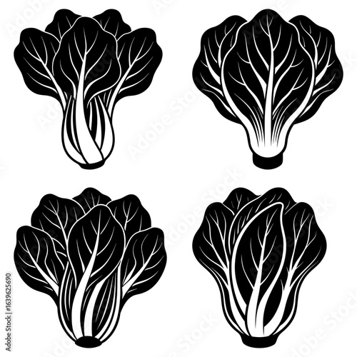 Four bok choy illustrations in black and white showing different angles of the vegetable plant design