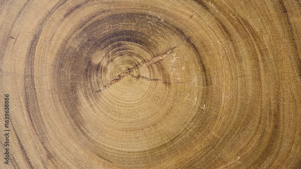 Naklejka premium Wood cross section revealing intricate natural grain and rich earthy tones. Pattern forms prominent elliptical shapes resembling eyes surrounded swirling concentric rings that tell story tree's growth