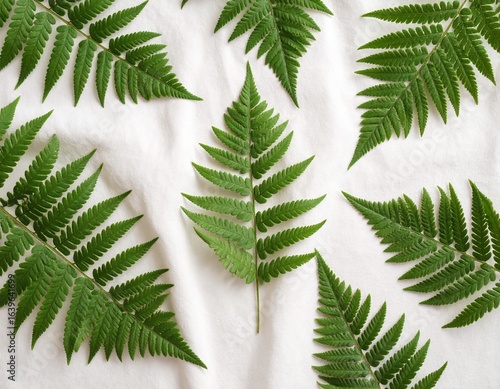 Tropical Plants & Botanical Backgrounds Series—Fern on Linen