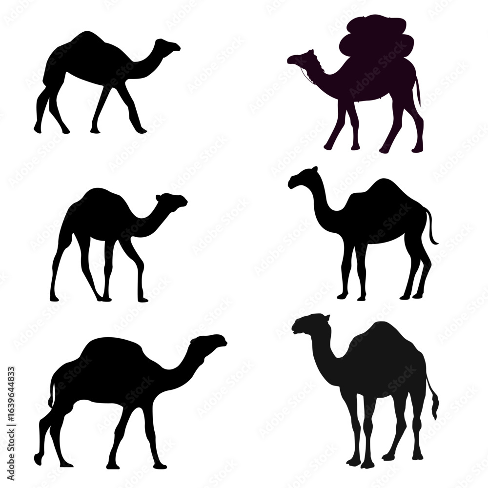 Naklejka premium Camel Silhouette Set.Camel Vector.