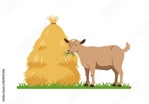 A goat eats greenery near a haystack on a patch of grass