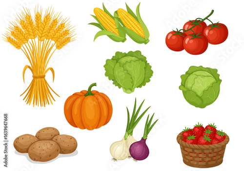 Illustration shows wheat bundle corn tomatoes cabbages pumpkin potatoes onions and strawberries in a basket