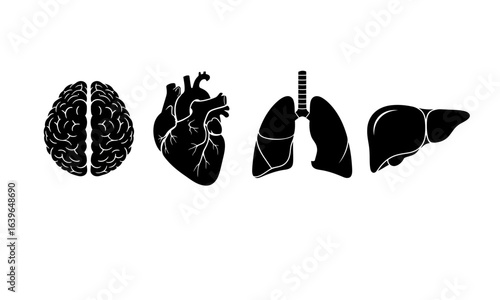 Human Internal Organs Silhouette Icon Set. Anatomy Collection including Brain, Heart, Lungs, and Liver.