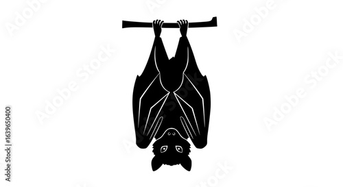 Bat hanging upside down