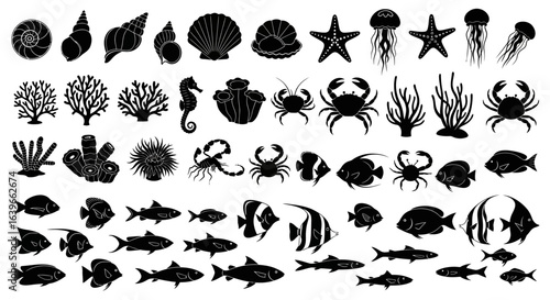 A Collection of Artistic and Textured Black Silhouettes of Marine Life and Ocean Elements for Coastal Themed Designs and Aquatic Artwork