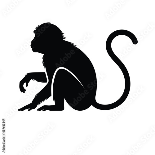 Silhouette of a monkey sitting with its tail curled