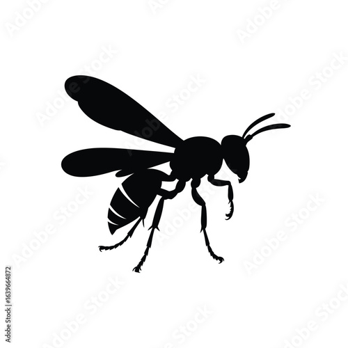 Black silhouette of a wasp on a white background