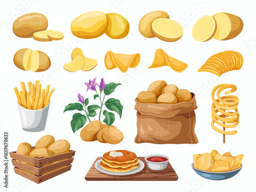Extensive Collection of Potato Illustrations Whole Sliced Fried and in Various Dishes.