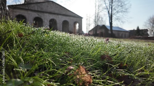 grass in the morning dew, against the backdrop of the temple complex