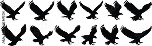 Eagle silhouette vector, flying bird poses, wildlife illustration, black and white art, 
nature design element, majestic
