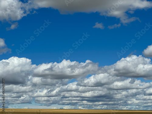 A blue sky with fluffy clouds above a vast field in the foreground