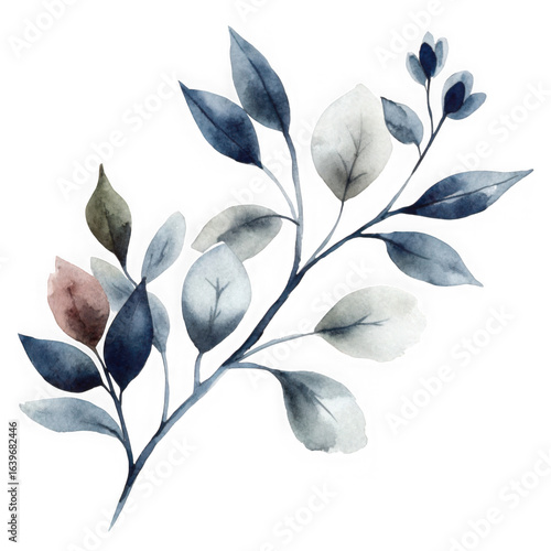 Dark botanical branch with blue and white leaves isolated on transparent background