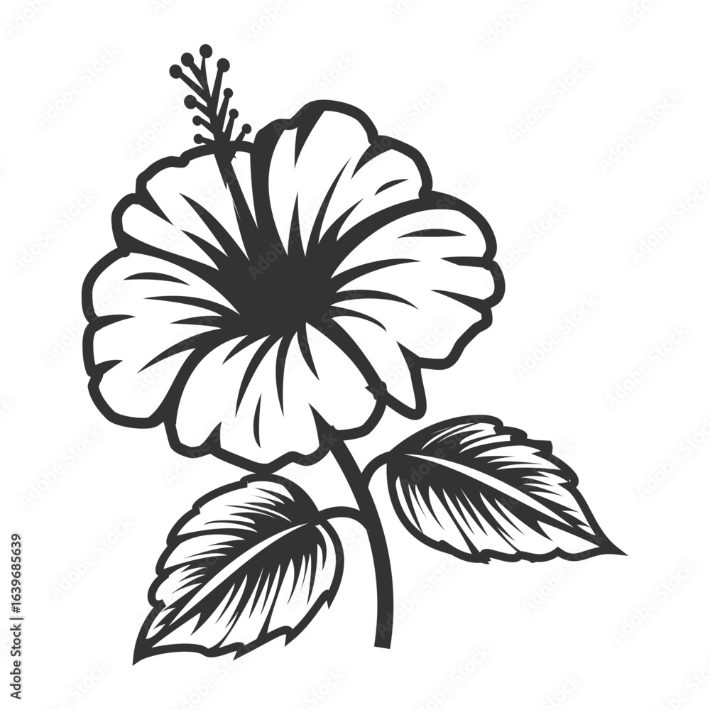 Obraz premium Hibiscus Contour Drawing - Clean and Modern Vector 