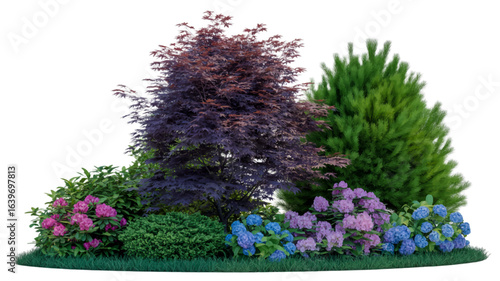 Colorful garden plant composition with hydrangeas and trees for landscaping