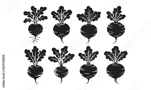 Radish, Turnip, Carrot, and Beet Silhouette Collection – Leafy Root Vegetable Vector Icons