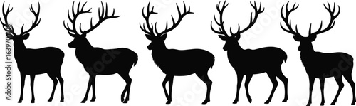 Deer silhouette collection, five antlered profiles, wildlife animal study, forest creature, nature design, vector illustration, side view poses