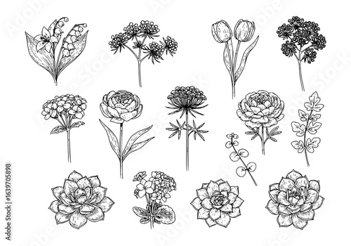 Elegant floral silhouette collection featuring tulips, roses and other spring blossoms