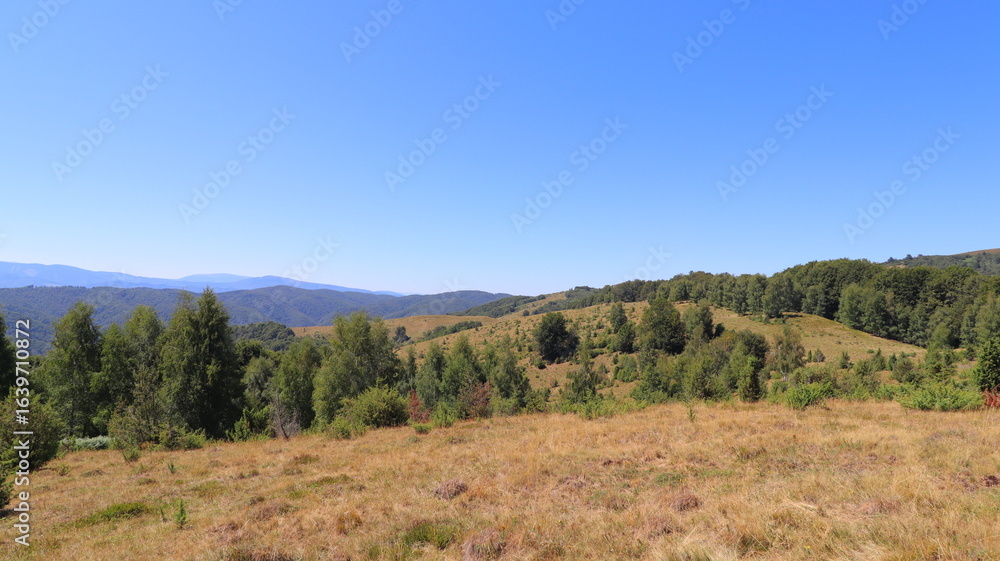 Fototapeta premium autumn landscape with mountains