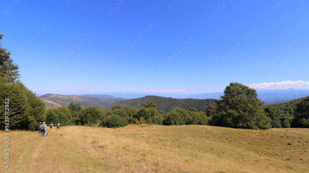 Fototapeta premium landscape in the mountains
