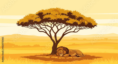 Majestic lion dozing under the acacia tree on the African savanna