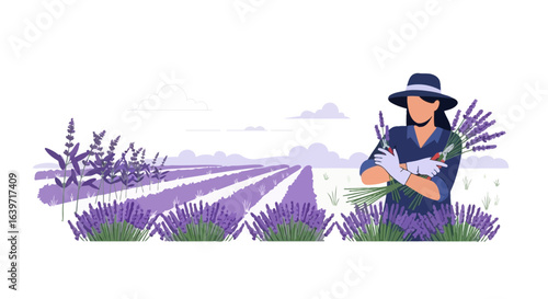 Lavender Harvest: A serene vector illustration of field with cultivator