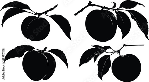 Black Plum Silhouette, Fruit Set