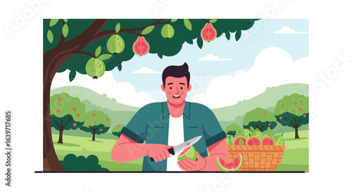 Joyful harvesting: Man cutting guava fruits in a vibrant orchard scene