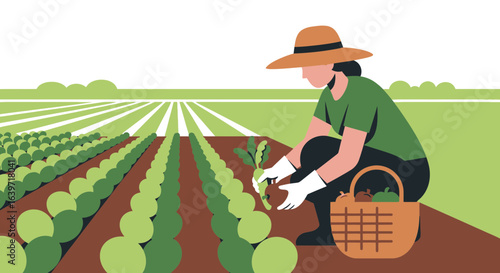 Woman harvests vegetables in a bountiful field of crops in summer