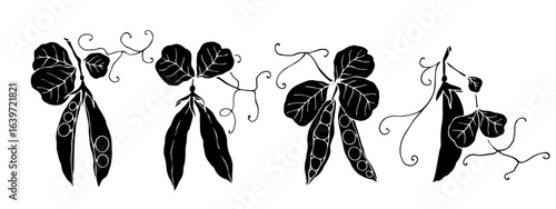 Silhouette, stamp of green pea pods. Vector graphics.