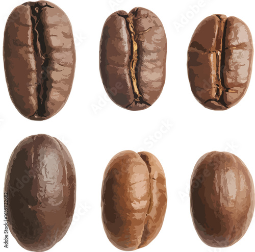coffee beans isolated on white