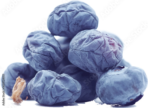 fresh blue cabbage