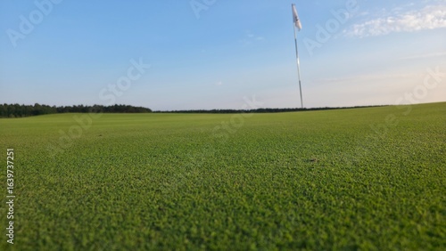 green grass and blue sky Golf course with a flag on the putting green, surrounded by rolling terrain and open landscape under a clear blue sky.